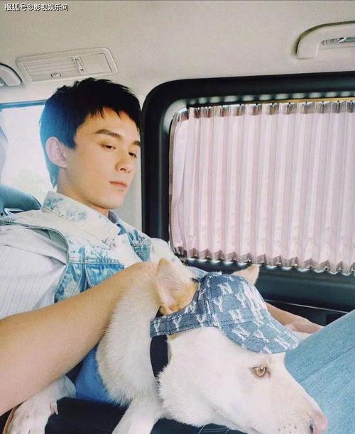 情感爆料娱乐视频,娱乐视频中的喜怒哀乐瞬间