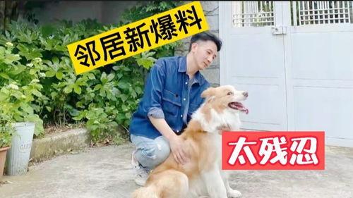 二狗子邻居爆料视频大全  第3张